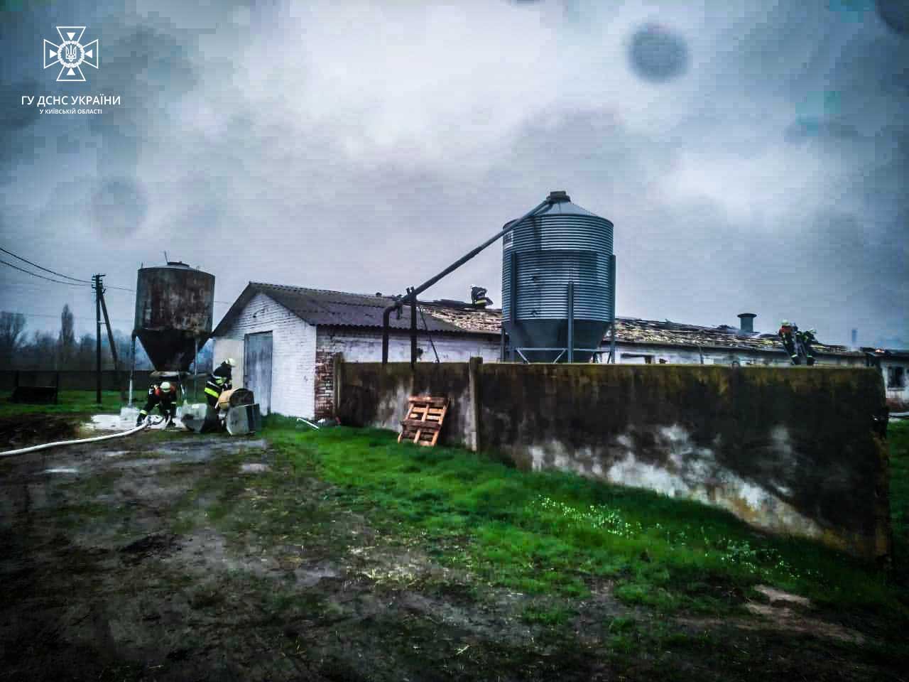 На Київщині під час пожежі загоріла тисяча курей 3