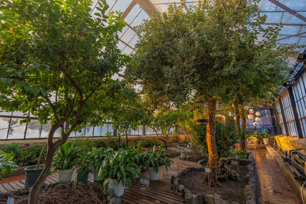 Куди піти у Києві: які локації вже працюють на ВДНГ 9