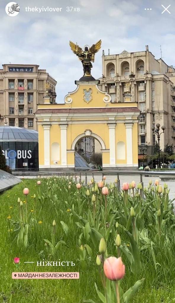 У Києві на Майдані Незалежності розцвіли перші тюльпани 1