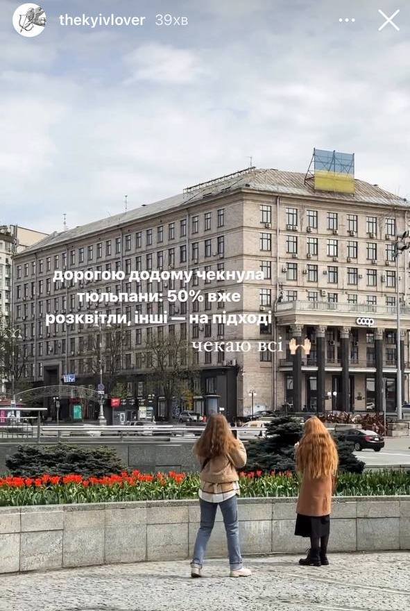 У Києві на Майдані Незалежності розцвіли перші тюльпани 2