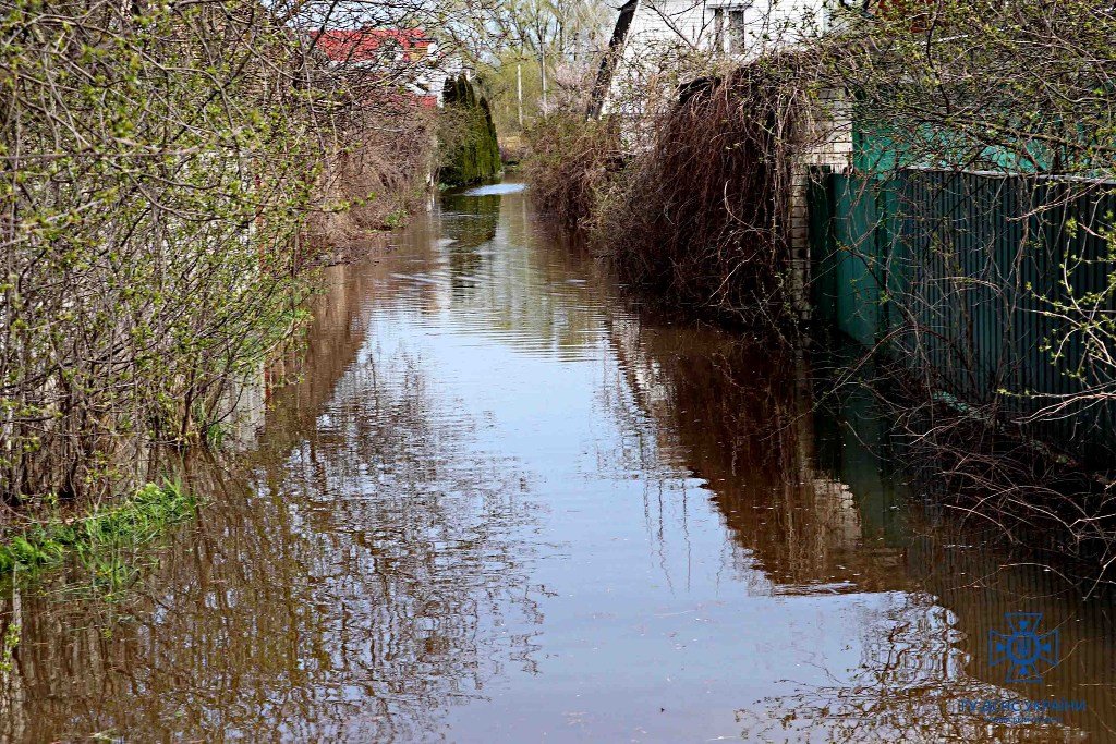 Евакуюють родини з тваринами, підвозять воду та їжу: як виглядає зараз затоплене село Київщини 7