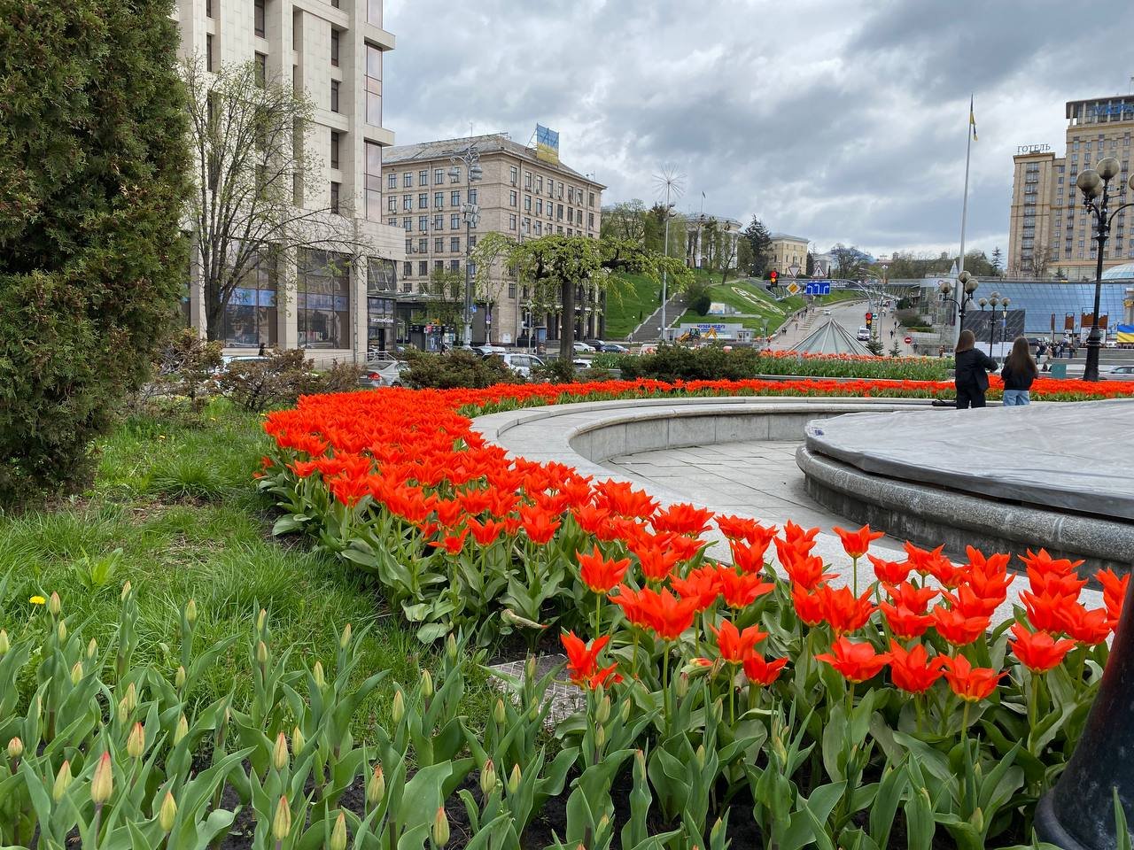 Червоні та жовті: у Києві на Майдані Незалежності розквітли тюльпани. Фоторепортаж 2