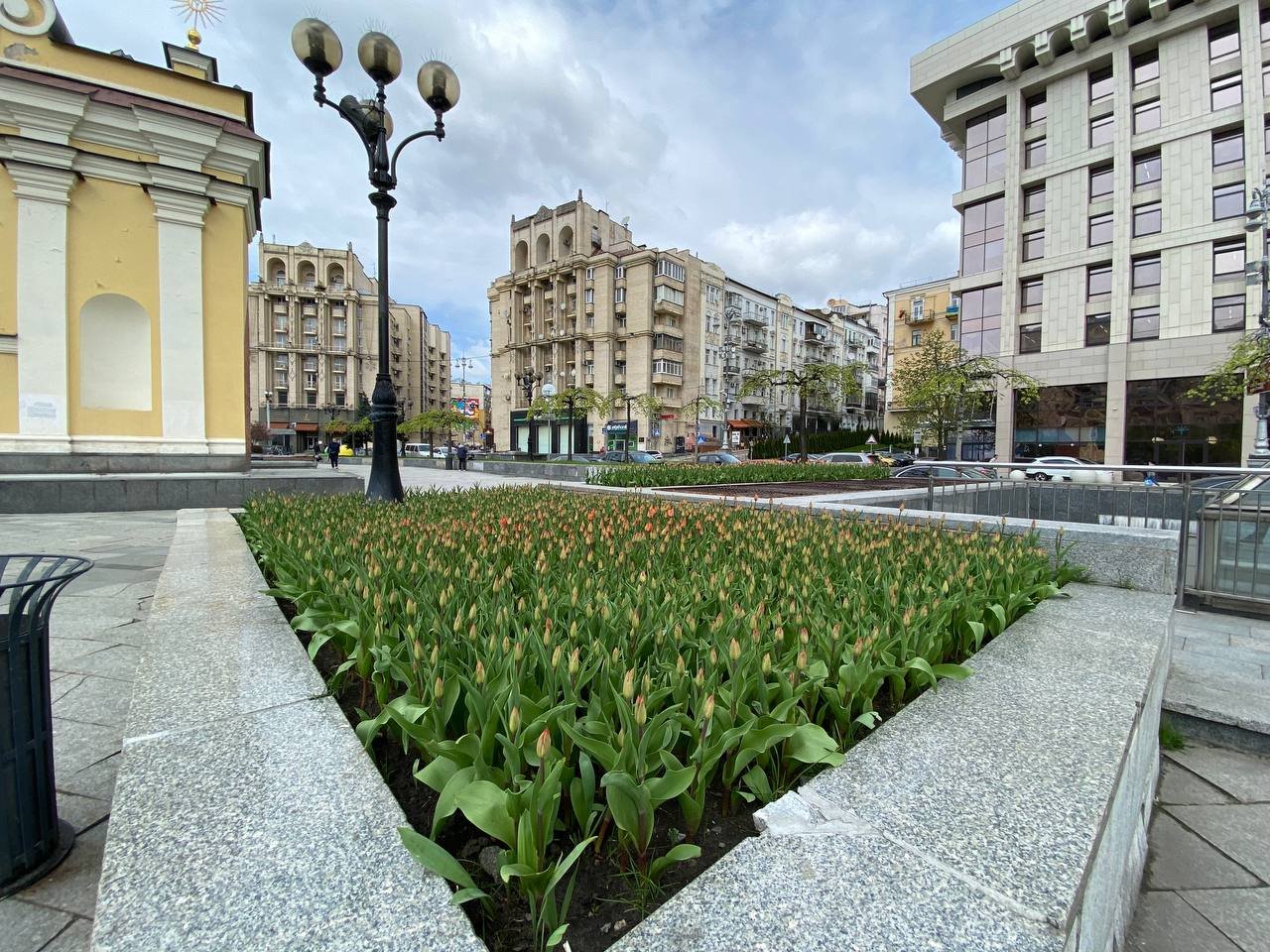 Червоні та жовті: у Києві на Майдані Незалежності розквітли тюльпани. Фоторепортаж 3