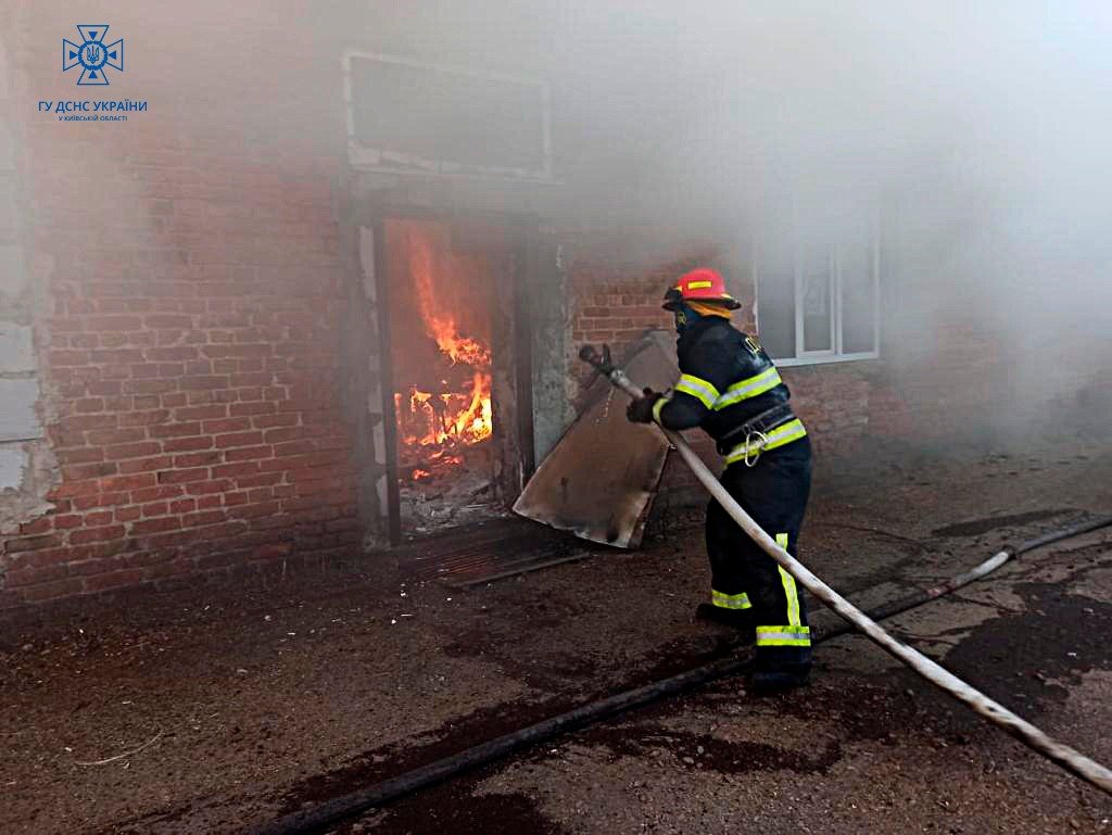 Масштабна пожежа на промисловості: на Київщині горіли цехи по виготовленню пелетів 2