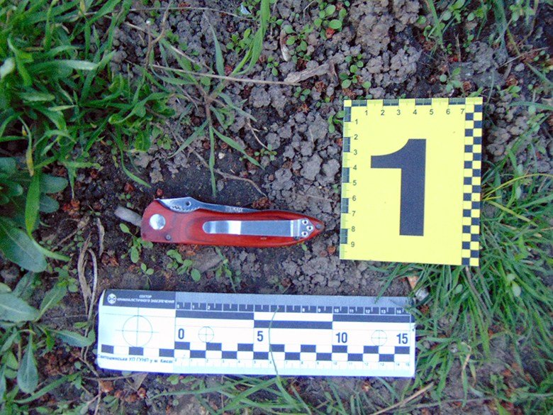 У Києві відпочинок завершився різаниною: чоловік вдарив товариша ножем у живіт 3