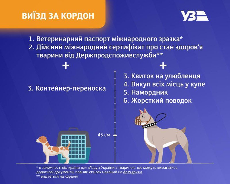 Як подорожувати з тваринами поїздами Укрзалізниці та за кордон: правила перевозки собак 1
