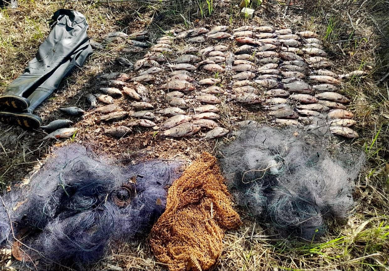 На Київщні зловили браконьєра з уловом на 220 тисяч гривень 1