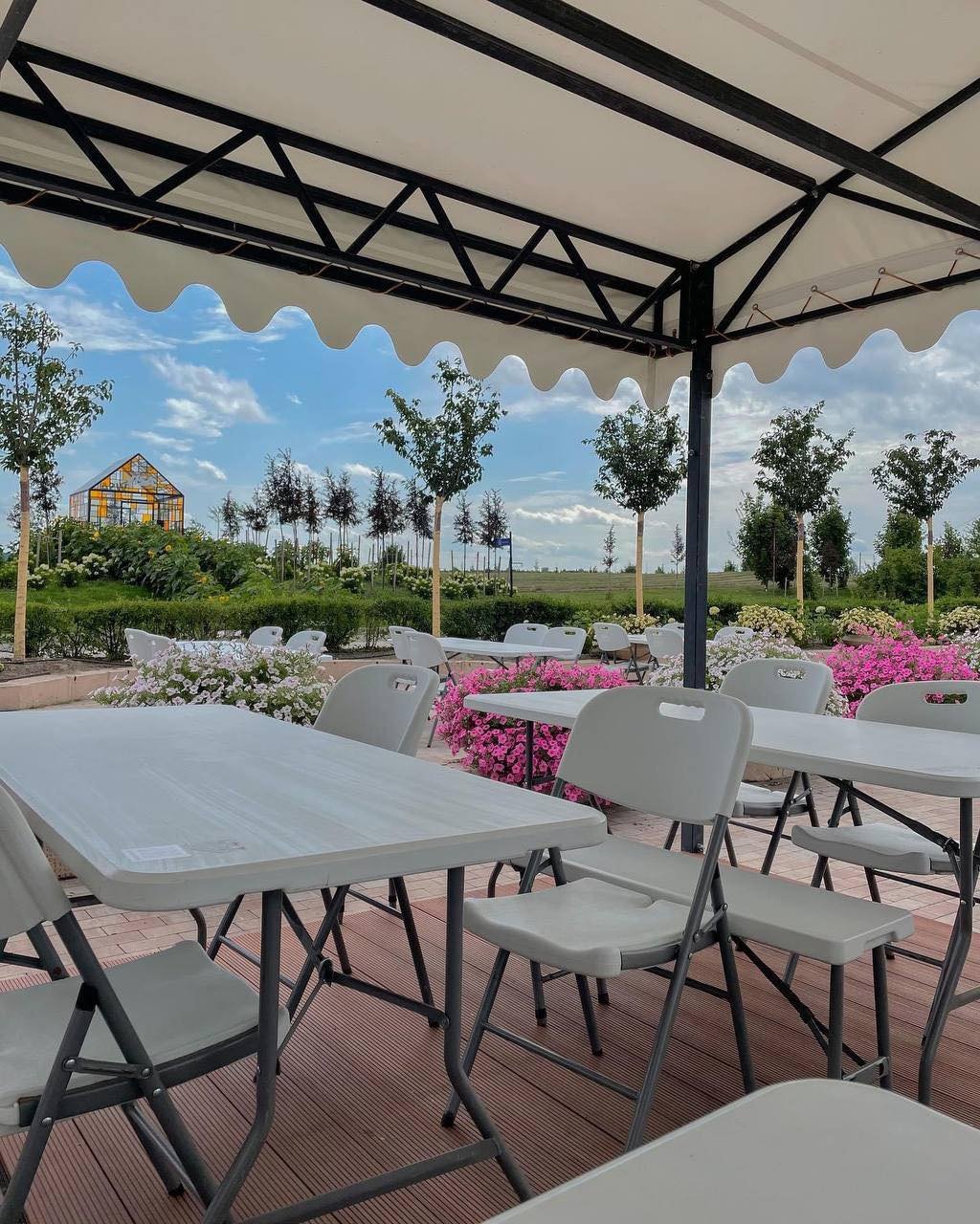 У Добропарку під Києвом зацвіли 3 мільйони тюльпанів: як працює парк 5