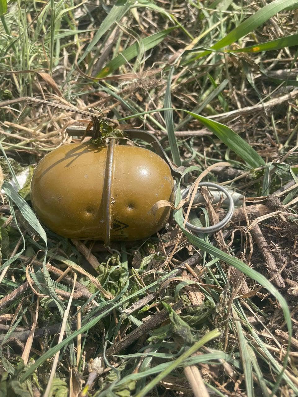 На Київщині чоловік косив газони та натрапив на гранату 3