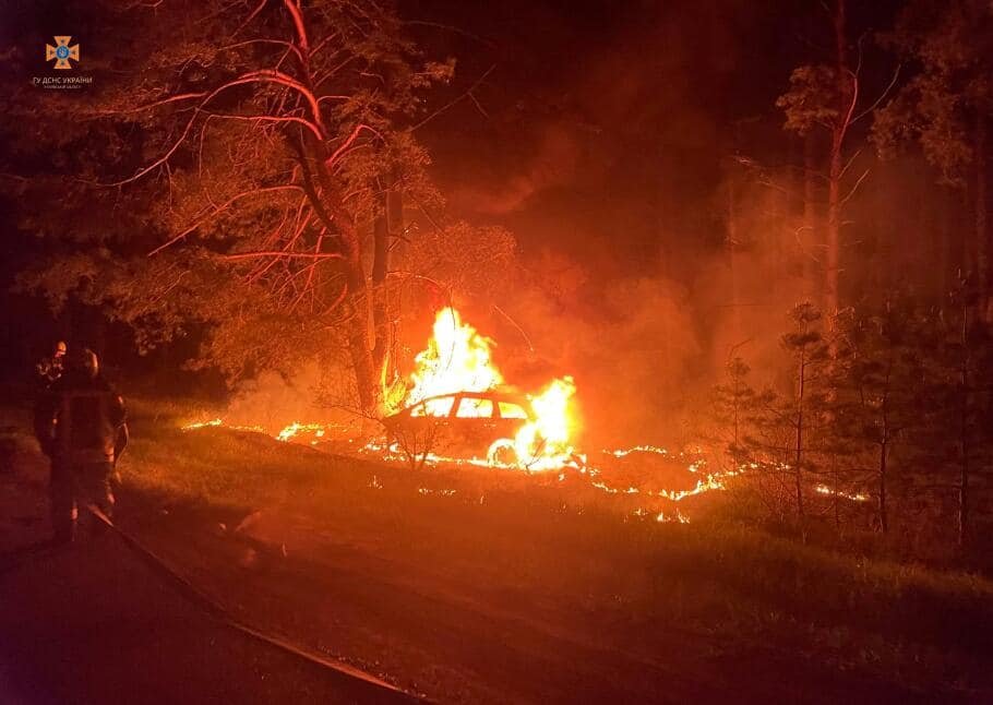 На Київщині легковик влетів в дерево та зайнявся: водій згорів в машині 1