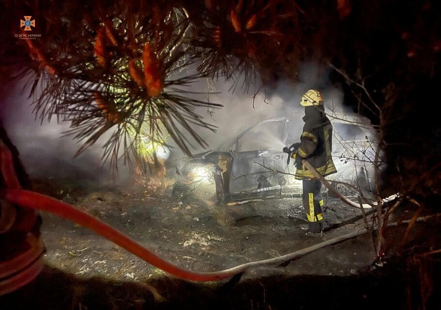 На Київщині легковик влетів в дерево та зайнявся: водій згорів в машині 2