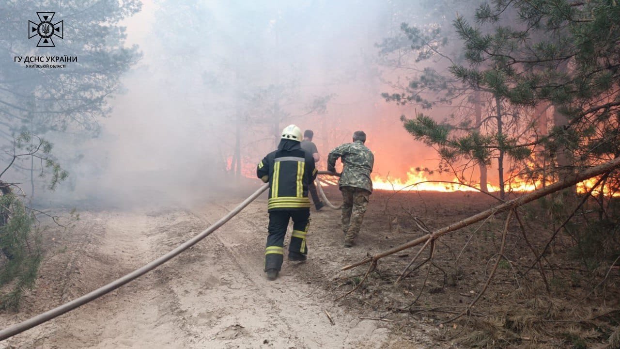 На Київщині масштабна пожежа на території Вишгородського району: що відомо 1
