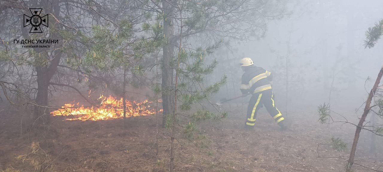 На Київщині масштабна пожежа на території Вишгородського району: що відомо 4