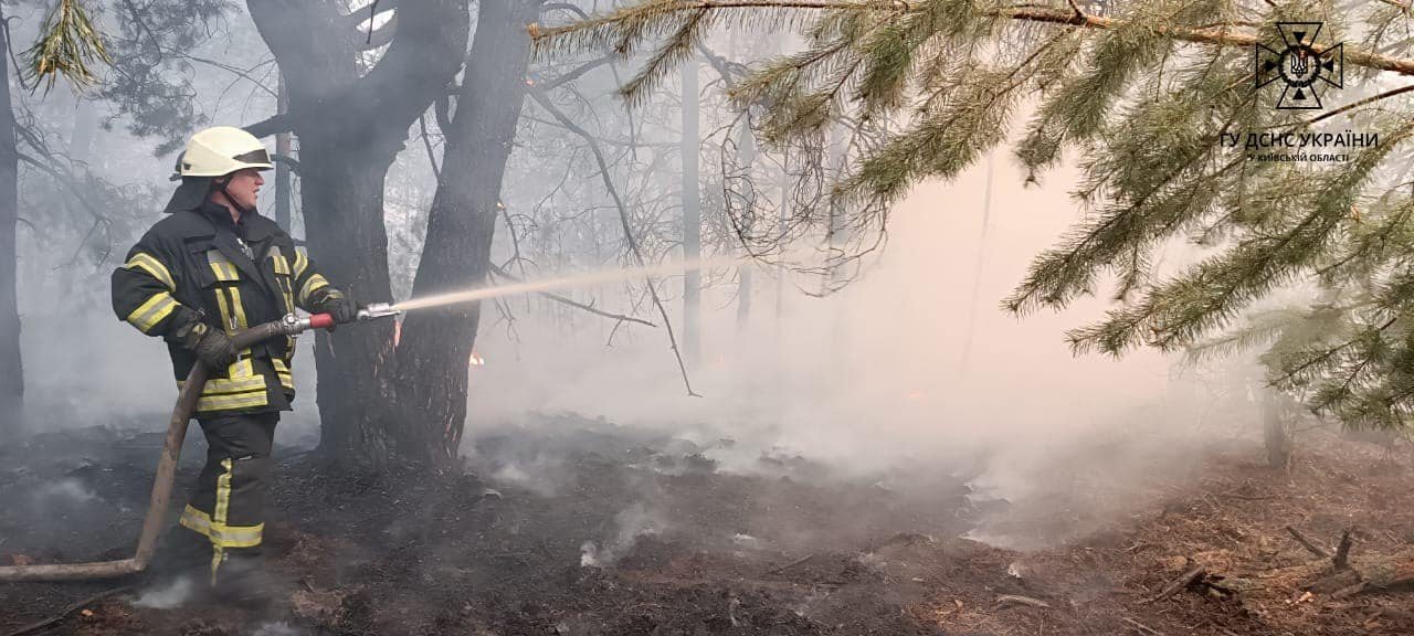 На Київщині масштабна пожежа на території Вишгородського району: що відомо 6
