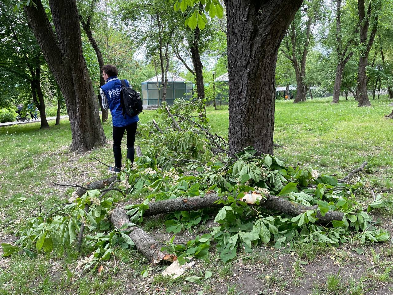 Уламки збитої ракети впали на територію Київського зоопарку: що там зараз відбувається 4