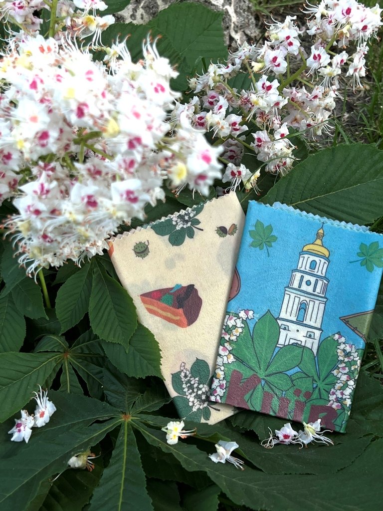 Каштани та Батьківщина-Мати: добірка українських брендів, що створюють речі з київською символікою 11