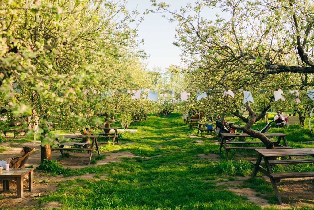 Куди піти у Києві: які локації відкриті та працюють на ВДНГ цим літом 3