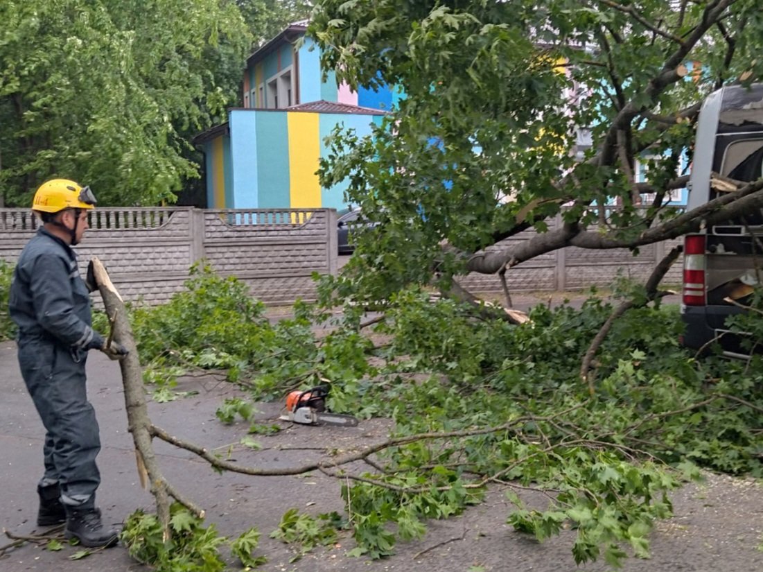Наслідки шторму у Києві: рятувальники прибирають повалені дерева 1