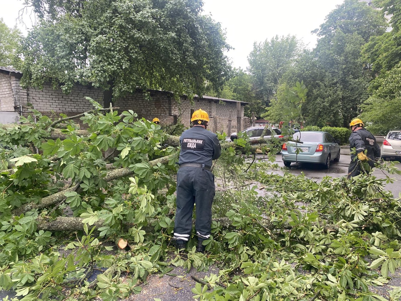 Наслідки шторму у Києві: рятувальники прибирають повалені дерева 4