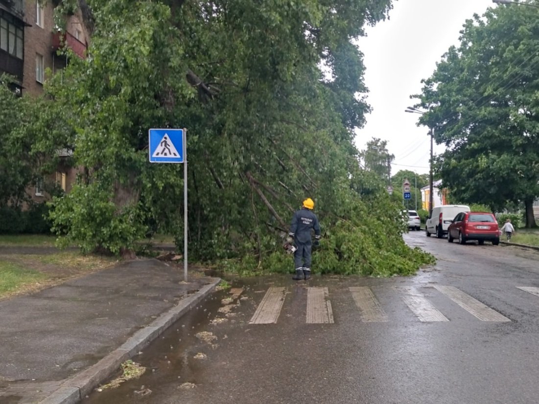Наслідки шторму у Києві: рятувальники прибирають повалені дерева 5
