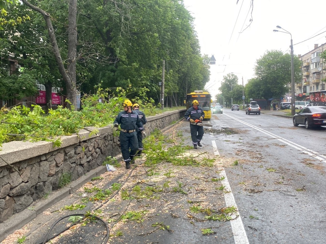 Наслідки шторму у Києві: рятувальники прибирають повалені дерева 7