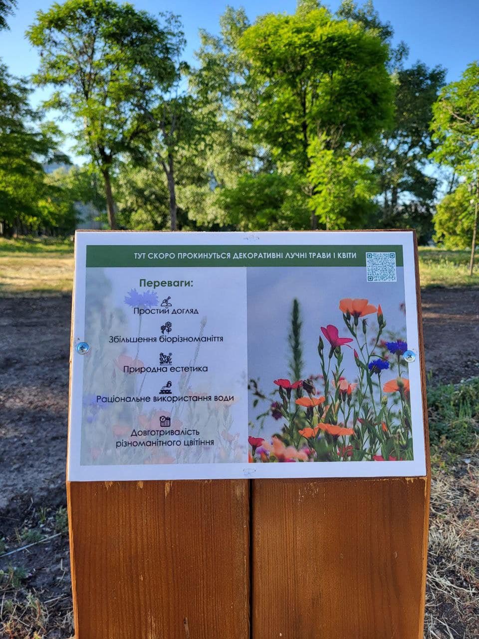 Експеримент з декоративними луками: де і навіщо у Києві створили такі ділянки 1