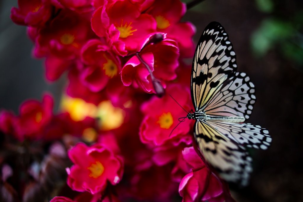 Де у Києві влаштувати активний відпочинок: гід літніми локаціями ВДНГ 9