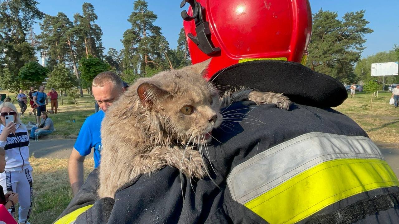 Вибух газу в 16-поверхівці Києва: фото та відео з місця пошуково-рятувальних робіт 8