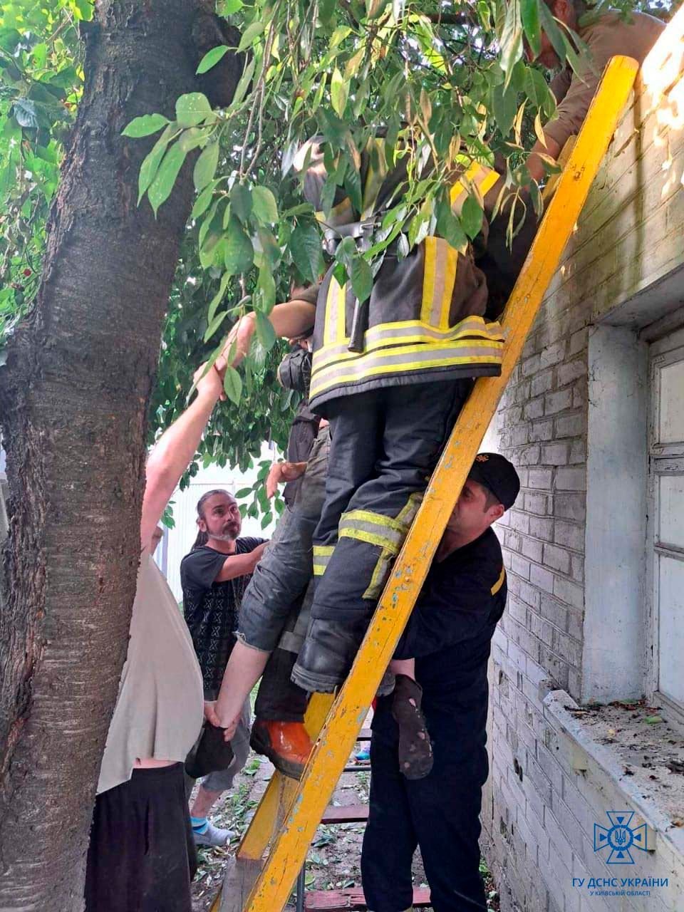 На Київщині з даху будинку знімали паралізованого чоловіка 1
