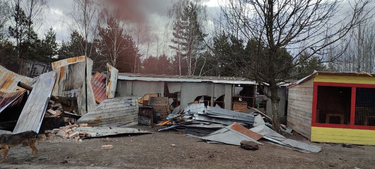 На Київщині відбудували зруйнований російськими обстрілами притулок для тварин 1