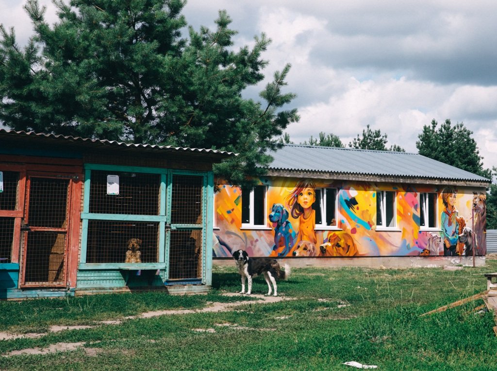 На Київщині відбудували зруйнований російськими обстрілами притулок для тварин 2