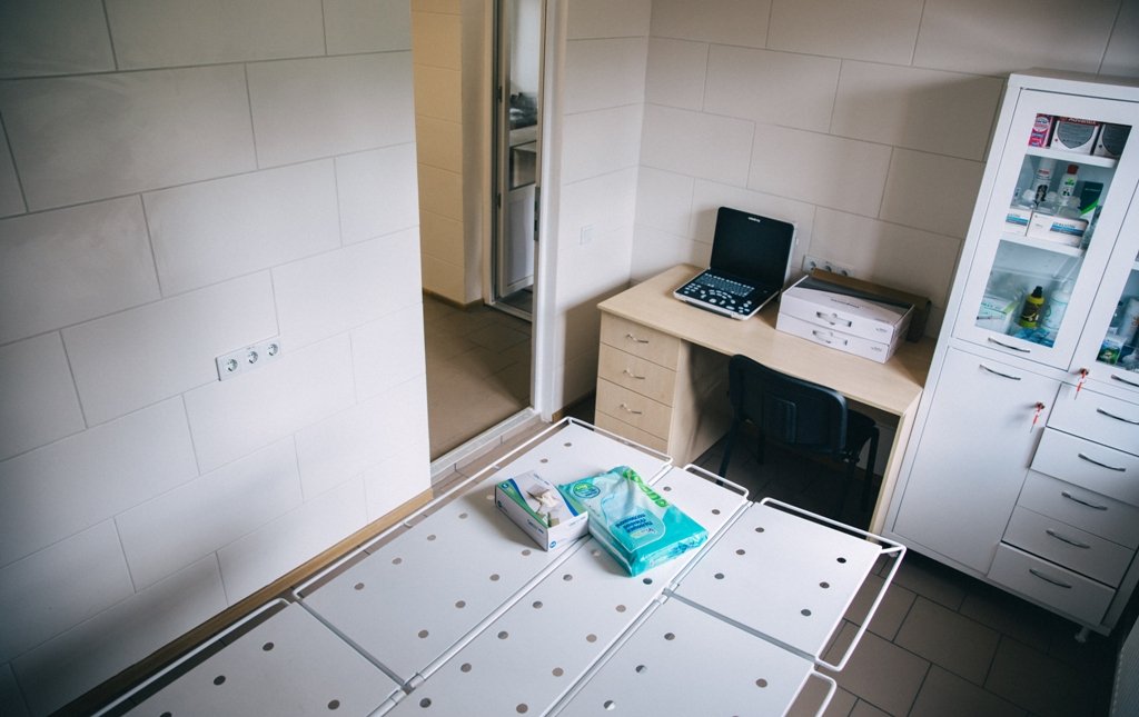 На Київщині відбудували зруйнований російськими обстрілами притулок для тварин 5