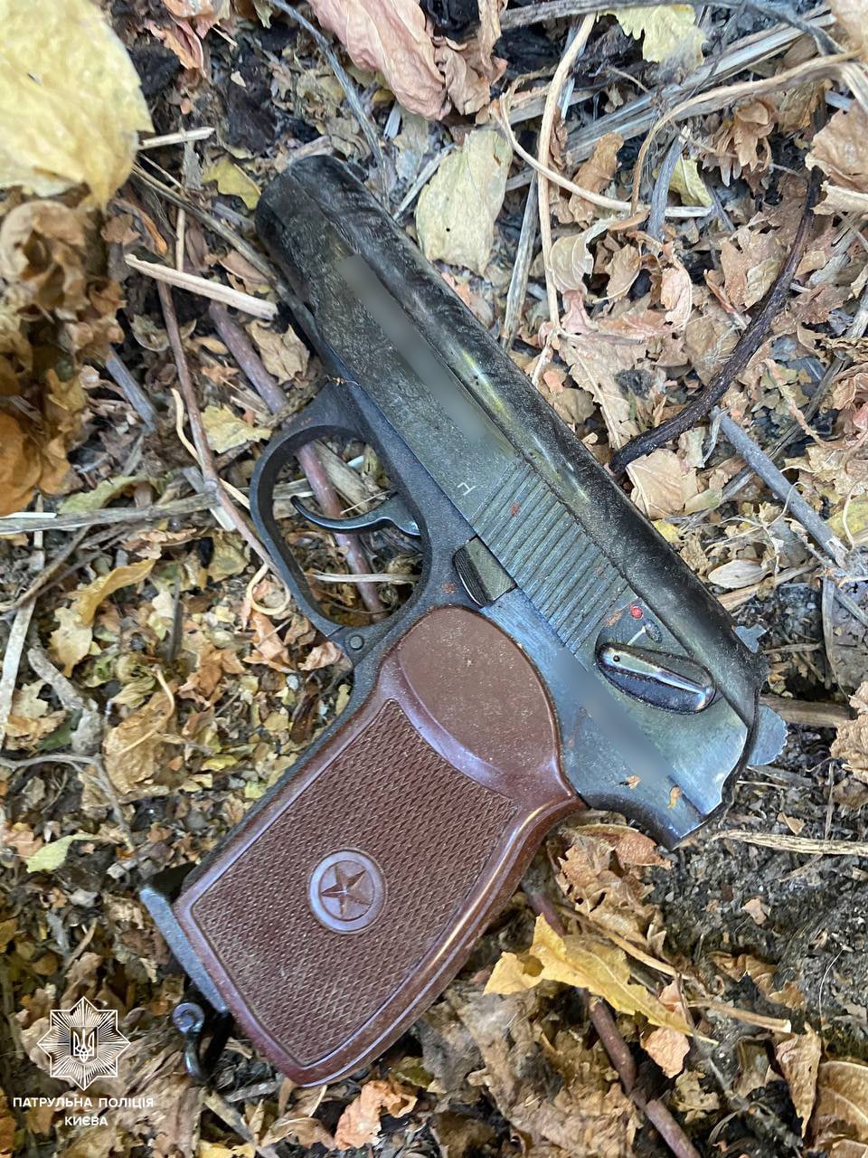 У Києві чоловік їздив на велосипеді та стріляв в собак з пістолета 2