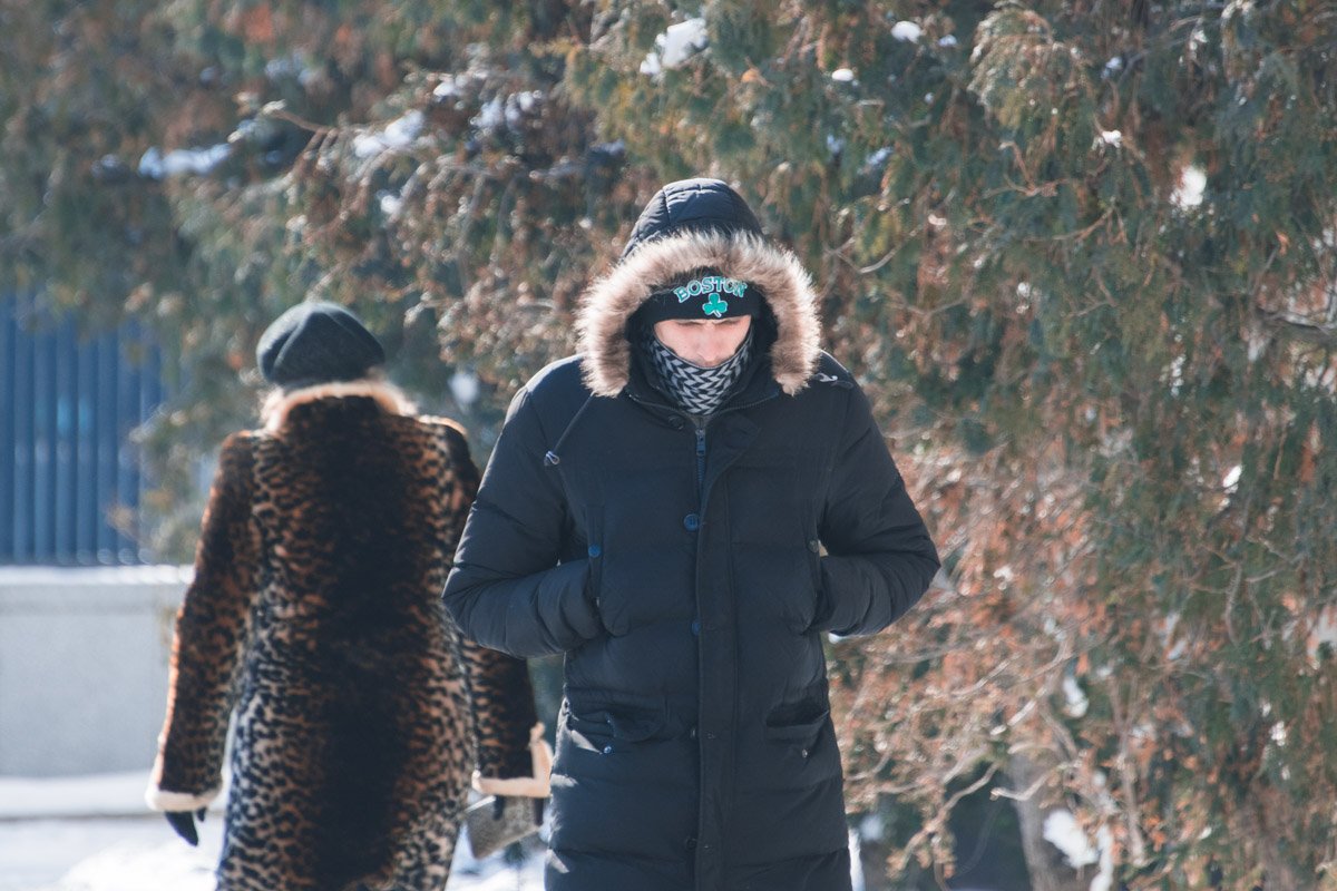 Обидно, когда у тебя простой пуховик, а не леопардовая шуба