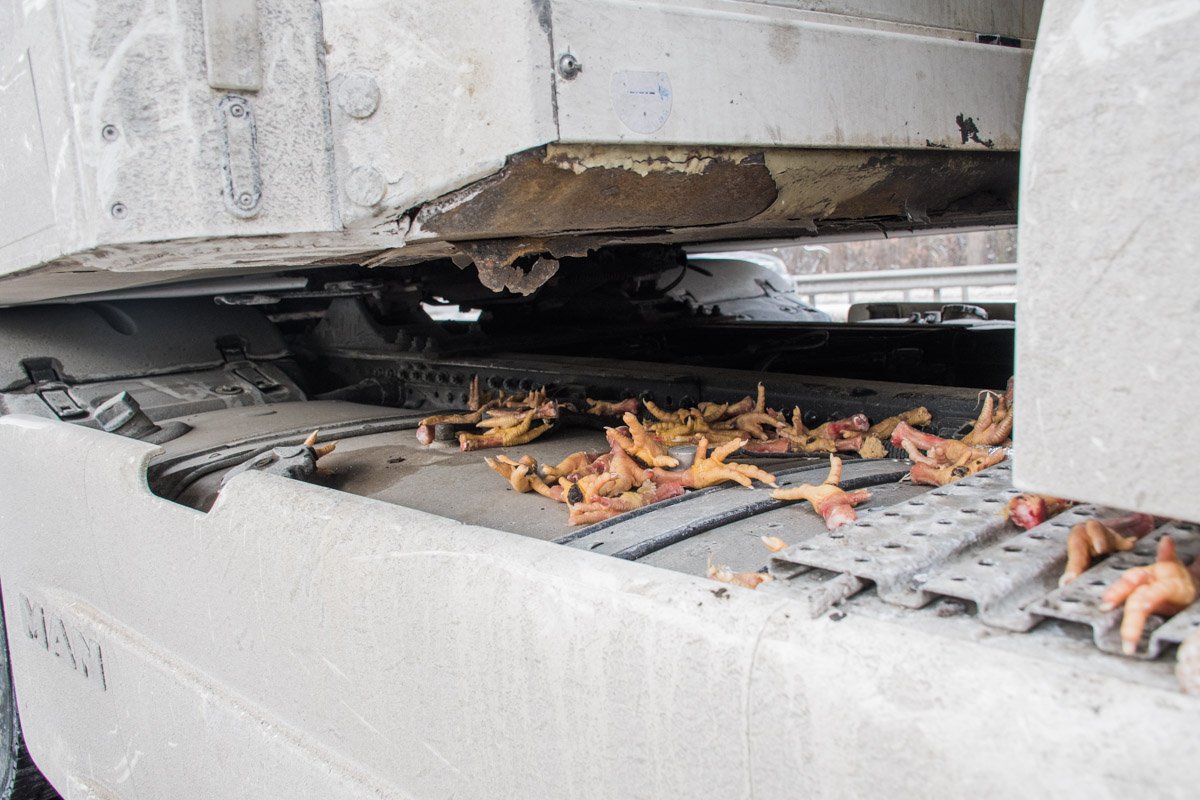 Газель перевозила продукты