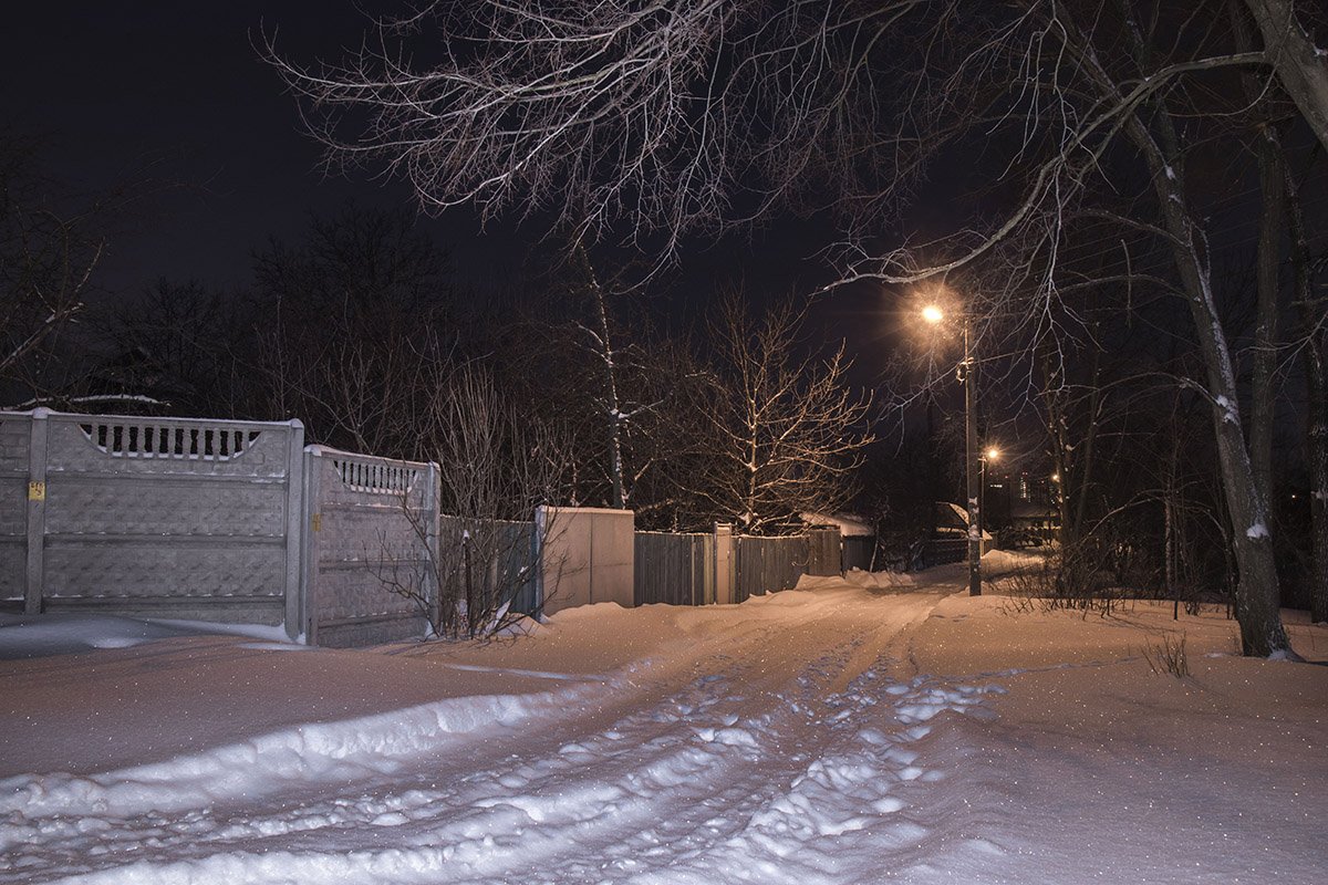 Деревья тянутся своими тонкими пальцами к каждому, кто проходит по дороге Деревья тянутся своими тонкими пальцами к каждому, кто проходит по дороге