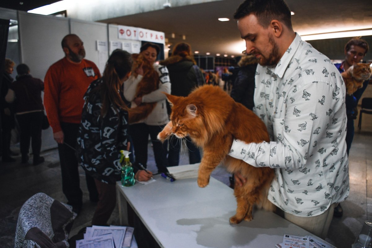 Попробуй меня, подними