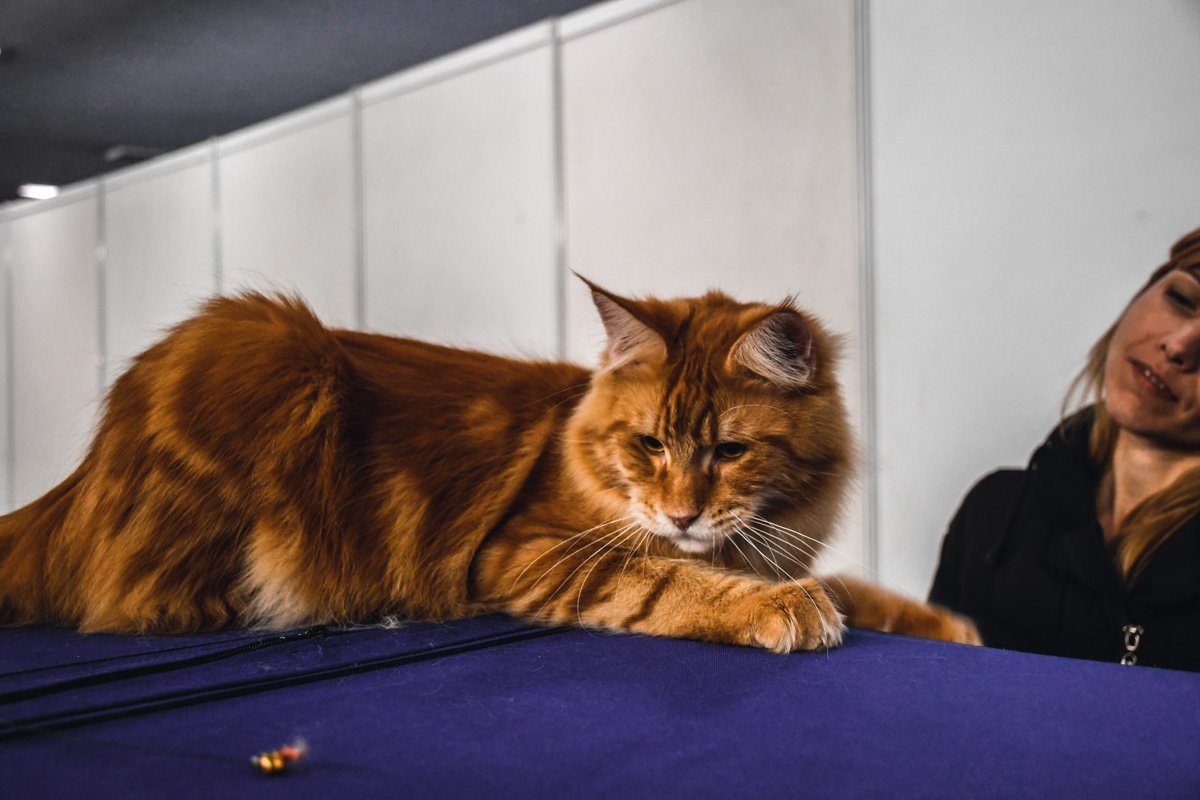 Брать или не брать?