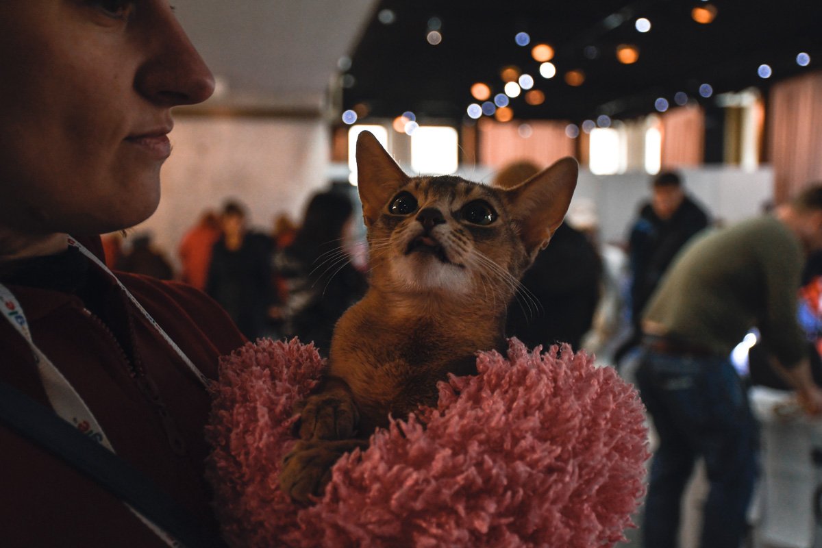 Я же красивая, няв?