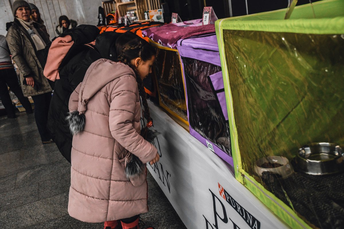 И кто же там такой сидит