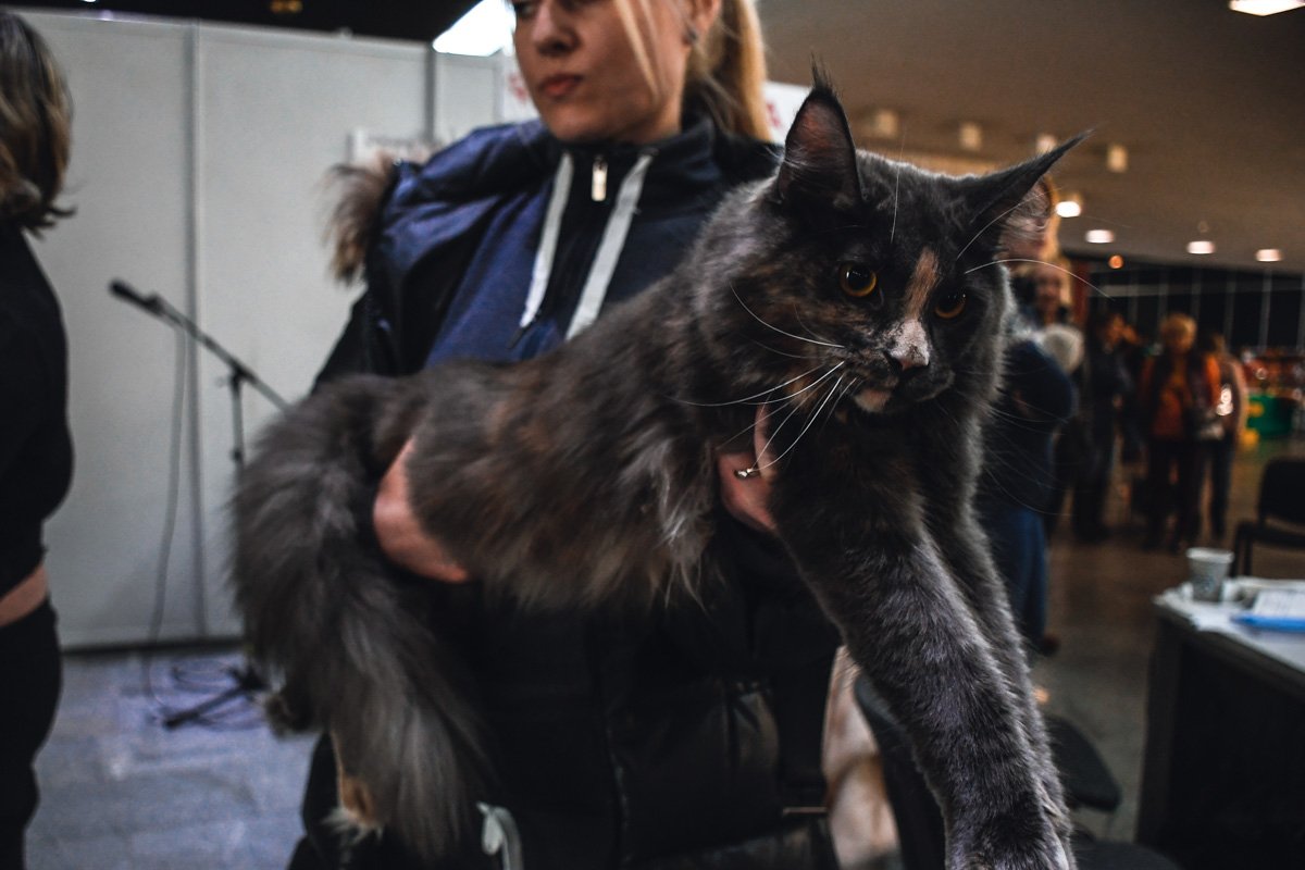 И долго мне еще так сидеть?