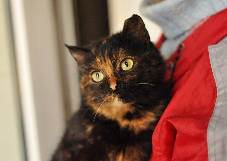 Ириска ждет именно вас Ириска ждет именно вас