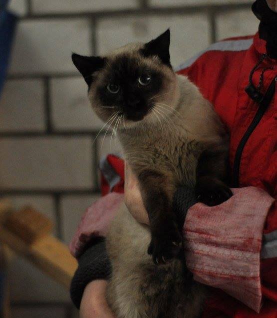 Подарите Марсу свою любовь и тепло Подарите Марсу свою любовь и тепло