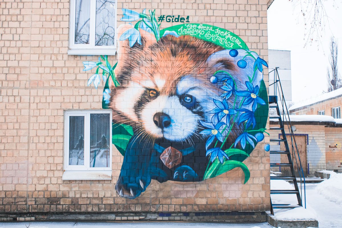 Милая панда на стене уже радует глаз жителей Днепровского района