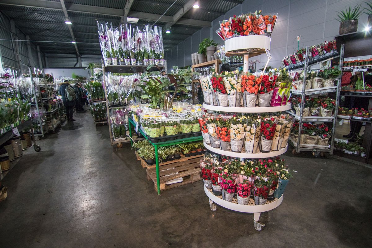 Торговцы предлагают широчайший выбор цветов на любой вкус
