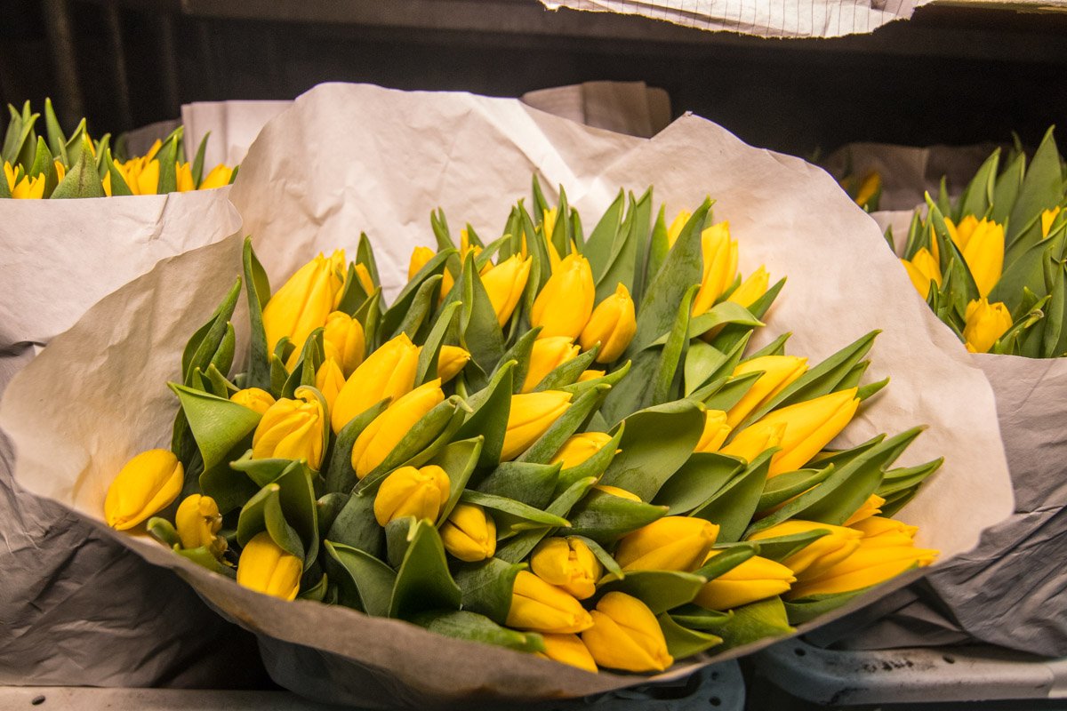 Цены часто доходили до 1000 гривен и выше