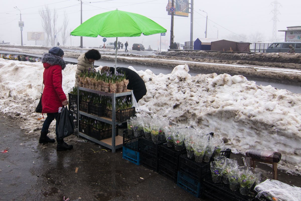 Цветы в вазонах поживут подольше