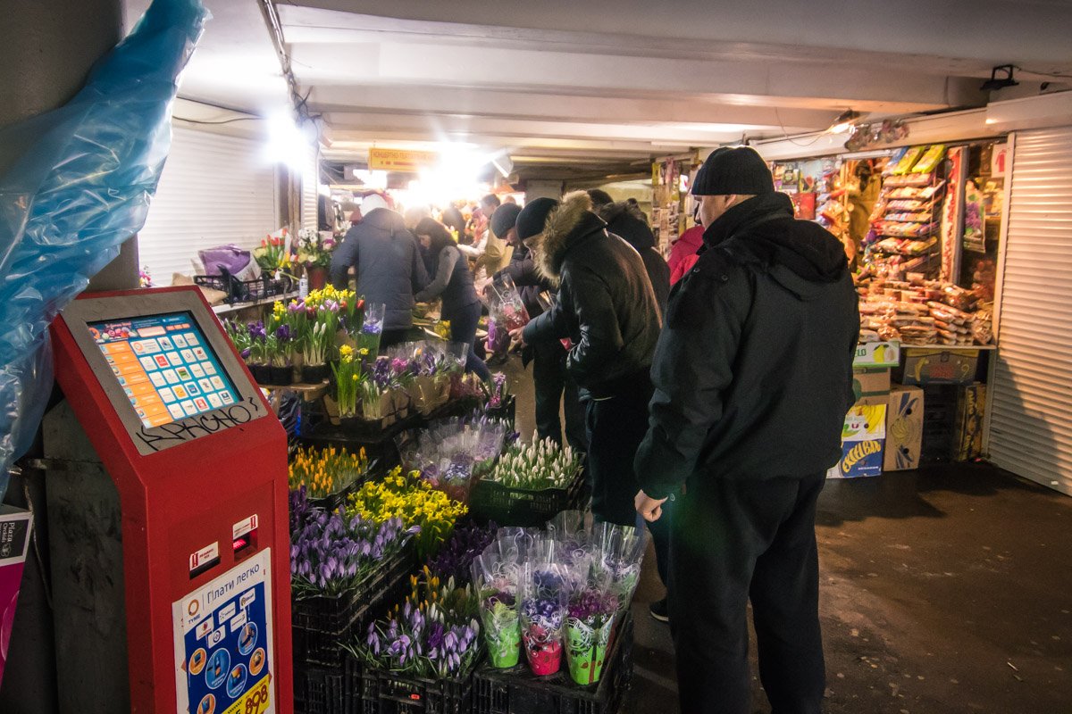 А, может, нарциссы?