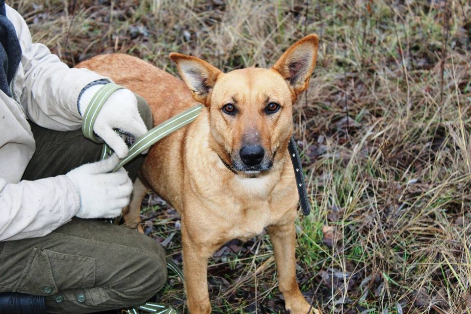 Реда - умная и управляемая девочка Реда - умная и управляемая девочка