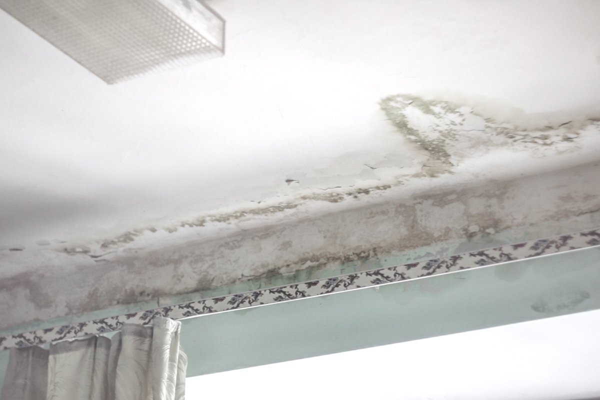 На стенах видны огромные потеки На стенах видны огромные потеки